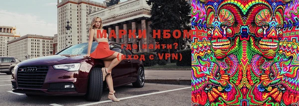 молекула духа Вязьма