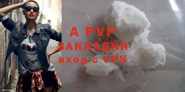 apvp Горняк