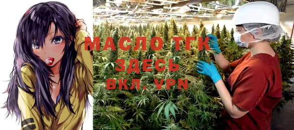 ешки Вяземский