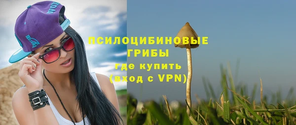 молекула духа Вязьма