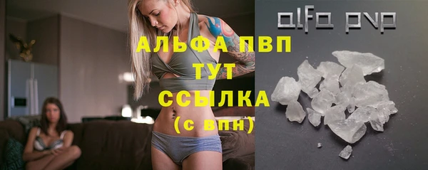 ешки Вяземский