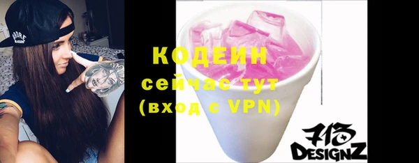 ешки Вяземский