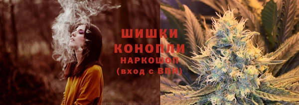 молекула духа Вязьма