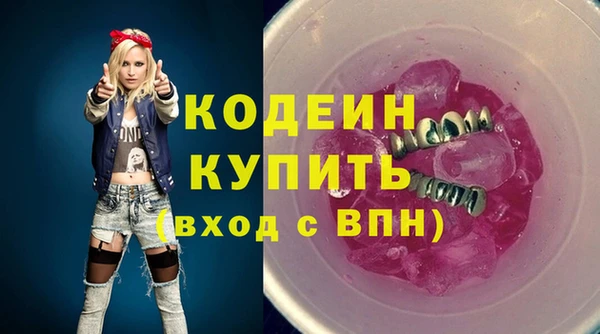 ешки Вяземский