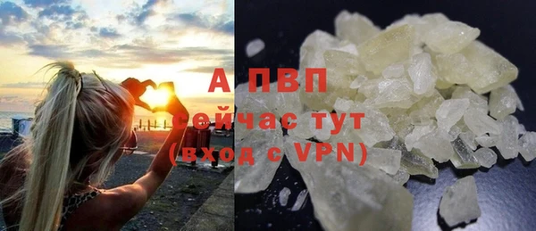 ешки Вяземский